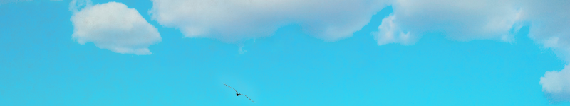 株式会社モーコミワールド 公式ロゴ